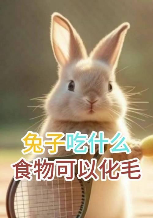 兔子的饮食与体重管理（揭秘兔子喜欢的食物和保持健康体重的方法）