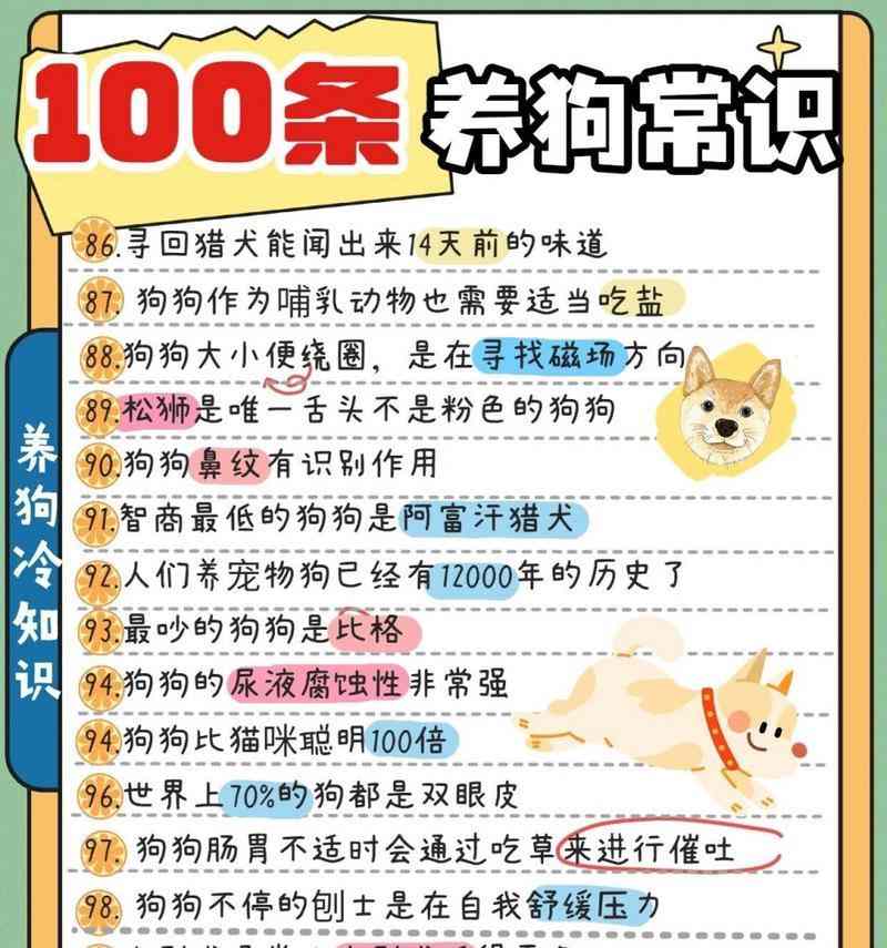 幼犬新家适应必备指南：15项注意事项