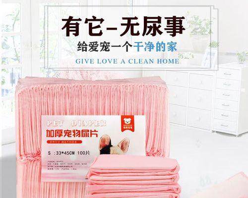 泰迪犬尿液颜色变化与健康问题