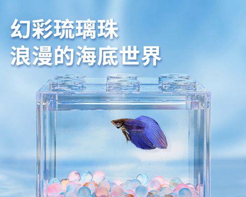 如何选择适合的斗鱼底砂类型？（为你解析不同类型底砂的优劣势）