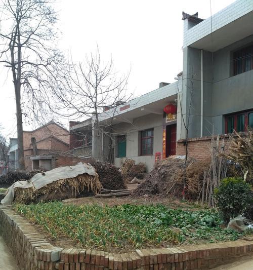 卫生间长草现象背后的心理、社会与环保解读