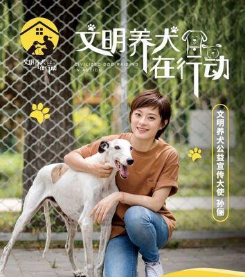 北京犬只防控措施解析与安全防护策略