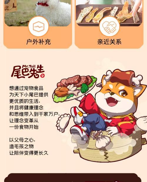 泰迪犬零食推荐：健康饮食与选择指南
