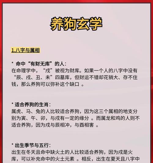 小狗对人类生活的多方面作用与益处