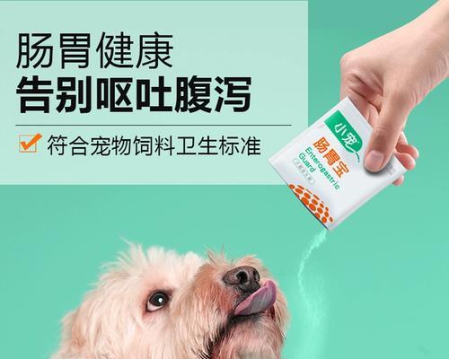 狗狗呕吐后调理食谱推荐及营养选择