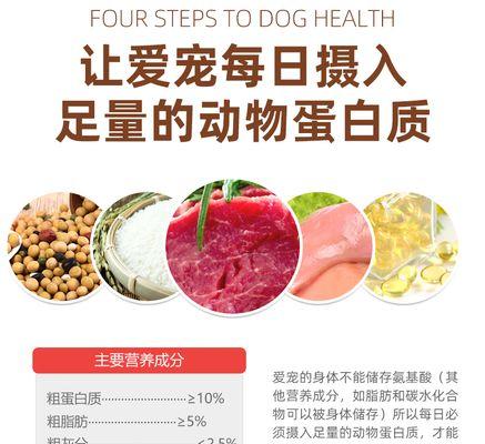 幼犬毛发健康养护全攻略