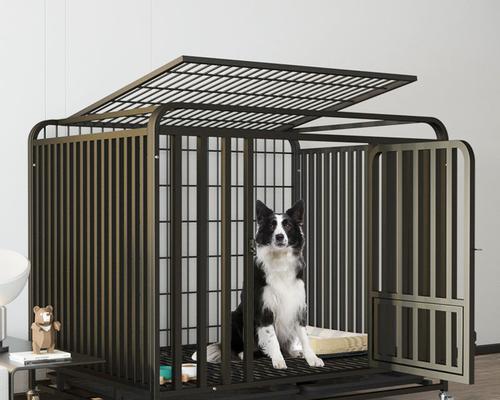 带狗旅游必备的旅行笼子选择指南（为您的宠物狗选择适合旅行的舒适笼子）