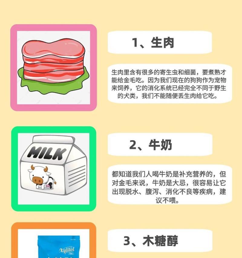 如何为你的金毛成犬提供最好的饮食？（全面了解金毛成犬的饮食需求，让你的宠物更健康快乐）