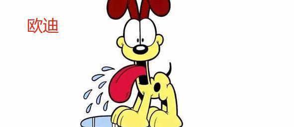 加菲猫的乖巧与调皮（了解加菲猫）