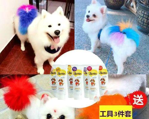 狗狗染毛的最佳颜色选择（让你的宠物与众不同，选择适合狗狗的染毛颜色）
