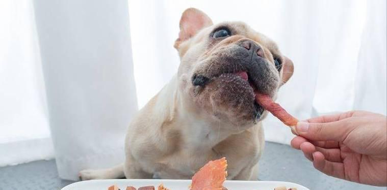 没满月的狗能吃些什么？（了解适合没满月狗狗的饮食需求和食谱）