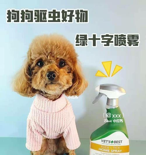 狗狗拉绿便的治疗方法及药物推荐（解决狗狗拉绿便的最佳药物选择与常见原因分析）