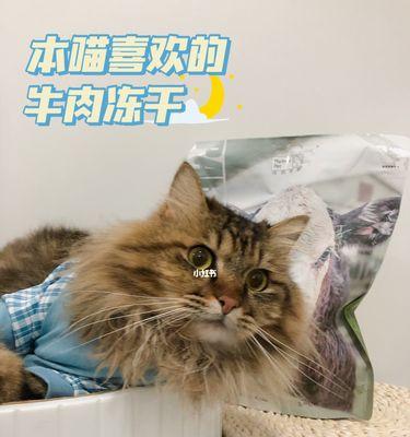 以猫吃牛肉补充什么？（猫的肉食补充需求及牛肉的益处）