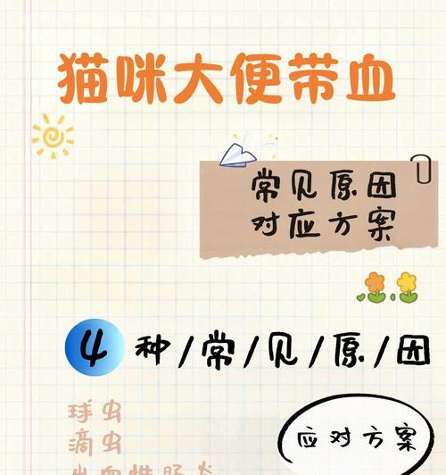 猫粪便稀原因解析：常见病因与预防方法