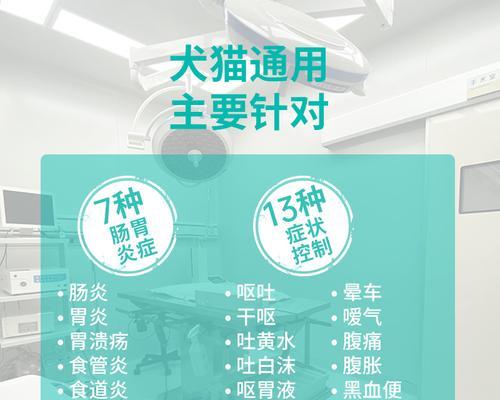 狗狗呕吐的药物治疗方法与护理注意事项指南