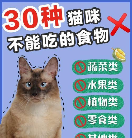 猫咪饮食指南：安全与禁忌食物解析