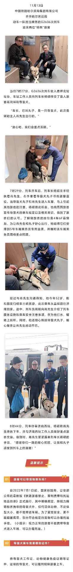 带狗狗乘坐火车的完整指南与贴心建议