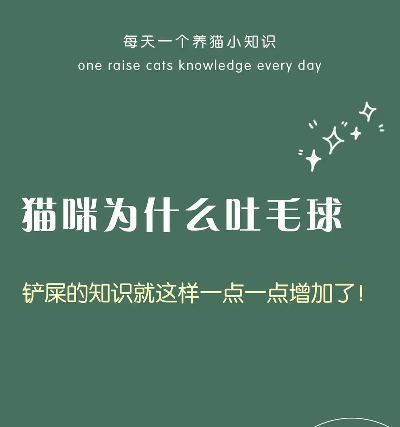 猫咪不停叫的原因解析及应对方法指南
