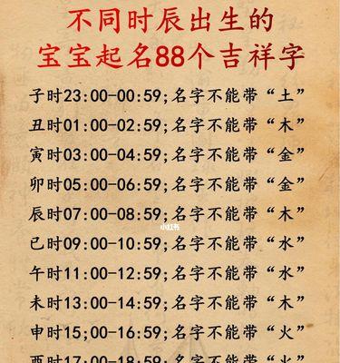 狗宝宝最佳养护时机，助您选对成长关键阶段