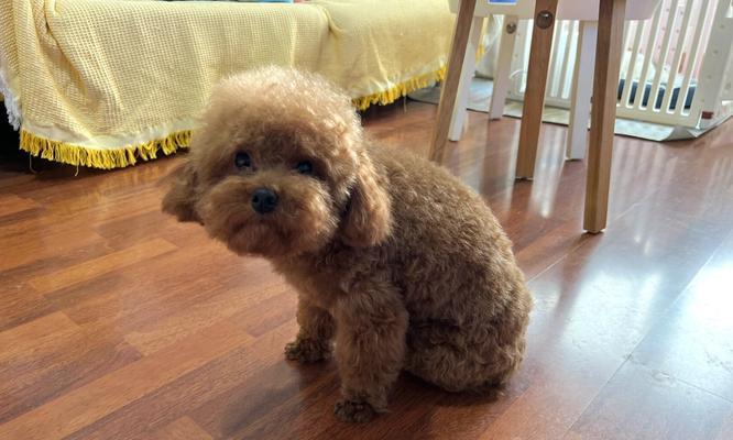 探索25体身高现象之谜及其对生理与社会影响