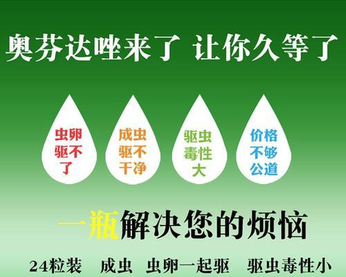 狗狗驱虫策略与寄生虫预防的健康管理指南