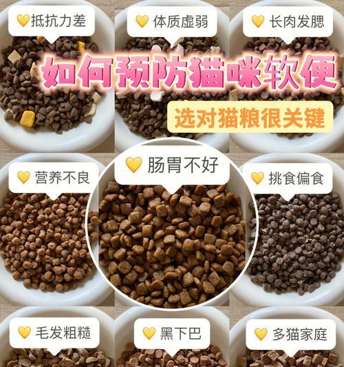 猫咪软便吃什么药好？原因分析及治疗用药指南
