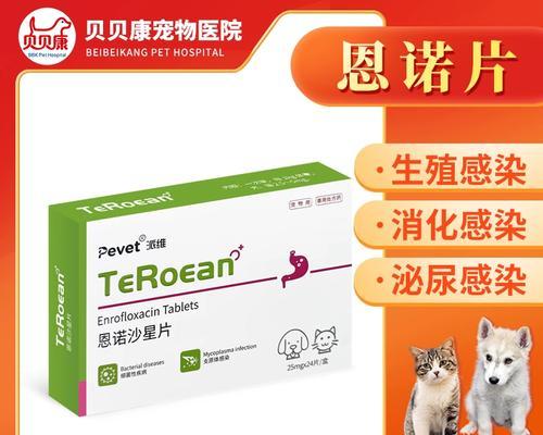 狗狗子宫蓄脓治疗药物选择及注意事项