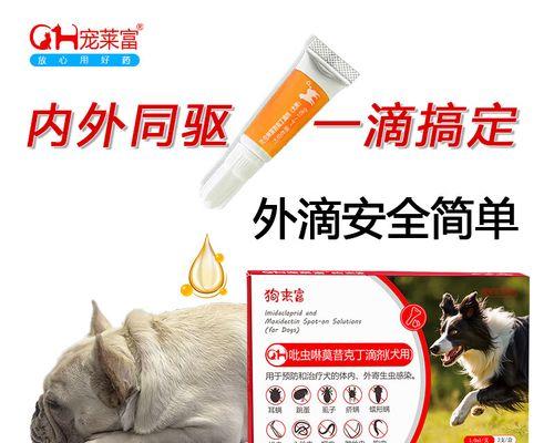 狗狗体内驱虫全面指南：保障宠物与家人健康的重要措施