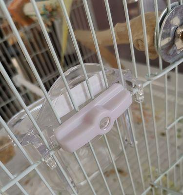 兔子食盆选择指南：材质大小防滑设计全解析