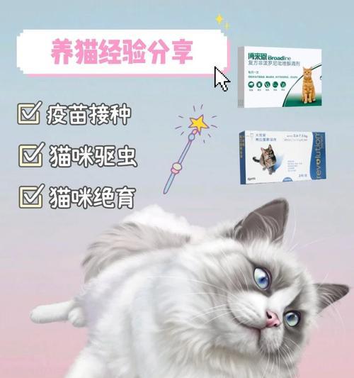 猫咪绝育前疫苗接种全攻略：保障手术安全的关键步骤