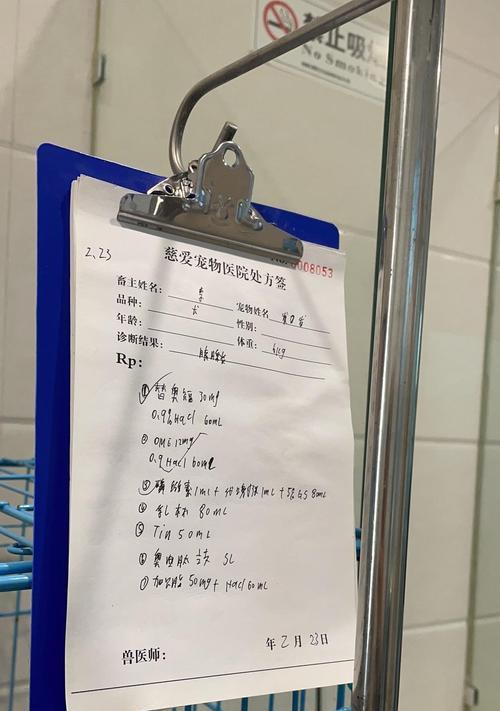 狗狗胰腺炎点滴药物选择指南：治疗方案与用药注意事项