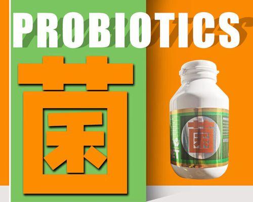 老年狗狗消食片选择与使用指南，改善消化不良提升食欲