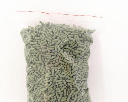 小鳄鱼龟不吃东西怎么办？15个有效解决方法帮你找回宠物食欲