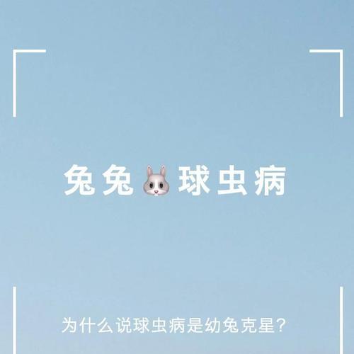 兔子球虫病传染途径及综合防治措施详解