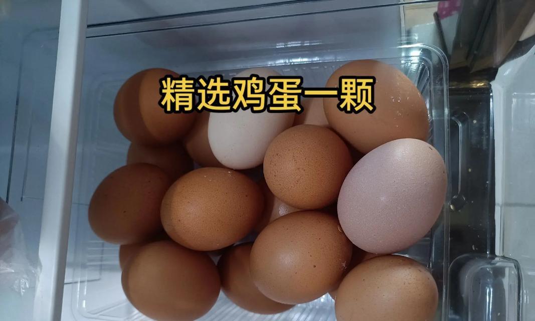 猫咪毛色亮丽的秘密：科学饮食营养搭配指南
