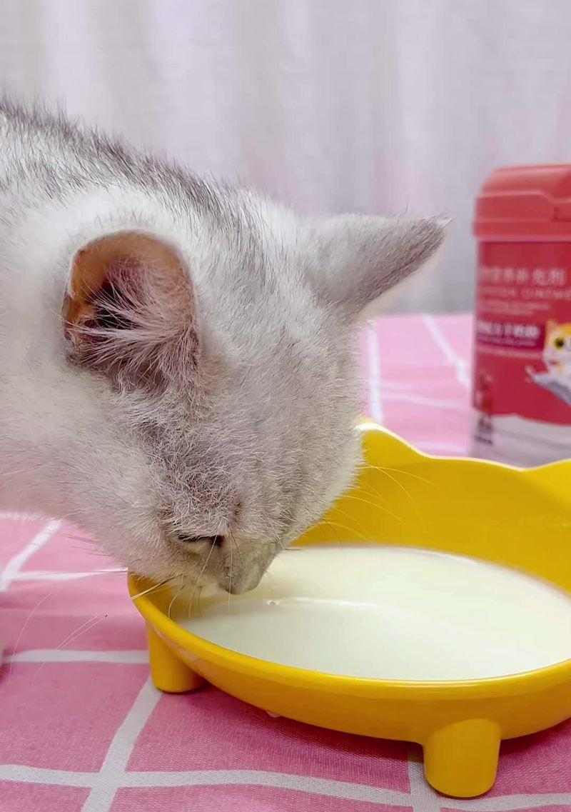 小奶猫奶粉选择指南：健康成长的关键要素与喂养技巧