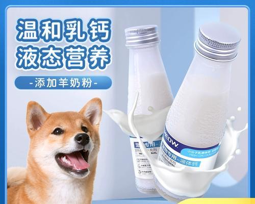 柴犬补钙全攻略：不同阶段补钙时机与注意事项详解