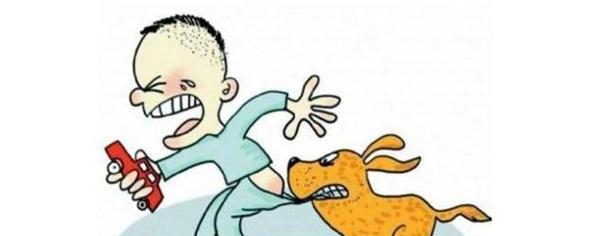 萨摩犬咬人原因分析及预防措施全指南