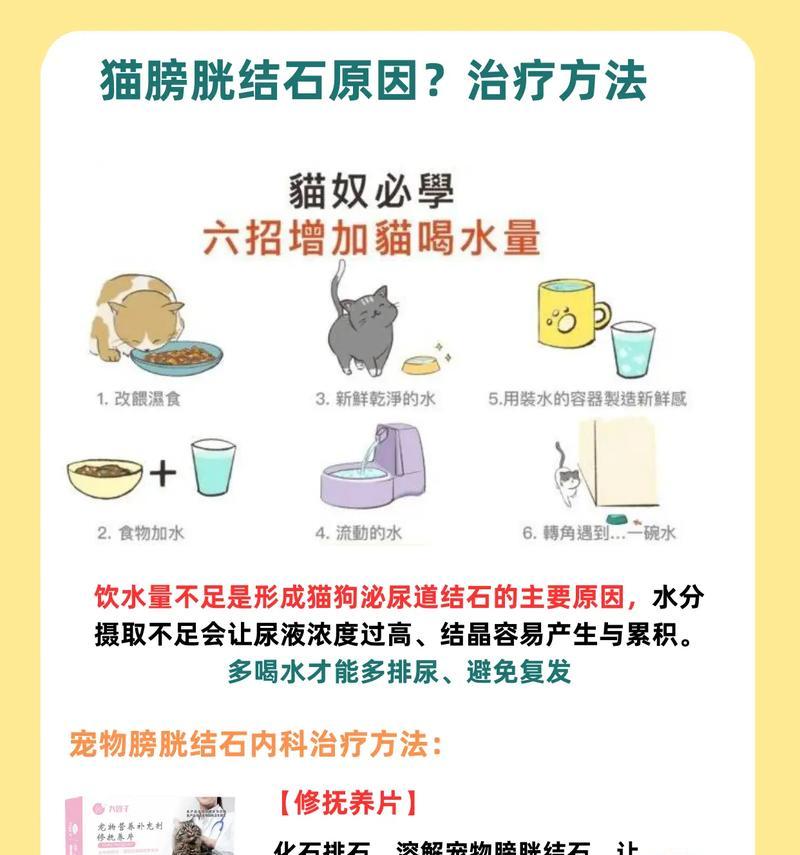 猫突然尿在床上的原因分析及有效解决方法