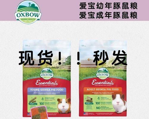 荷兰猪主粮选择指南：营养搭配与健康管理要点