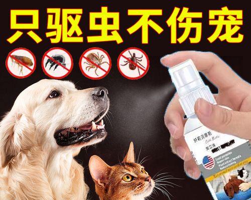 狗用体外驱虫药物选择指南：保护宠物健康的关键要素