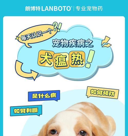 狗瘟病治疗方法详解：15种有效药物助力宠物康复