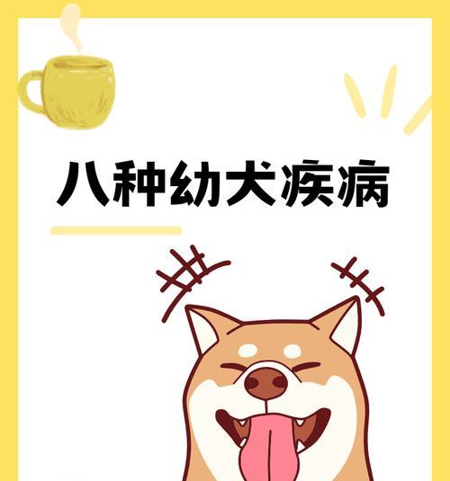 小狗发烧原因分析与治疗护理全攻略