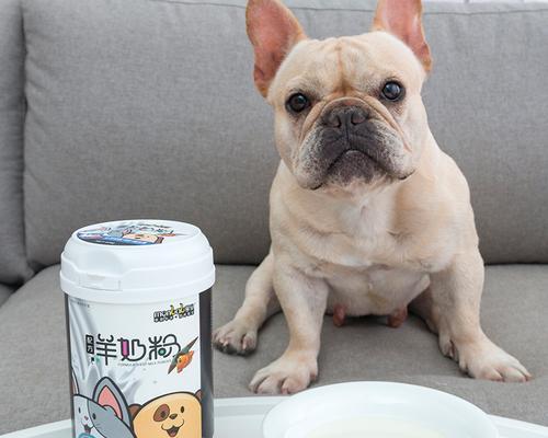 孕犬可以吃奶糕吗？孕期营养补充的正确方法