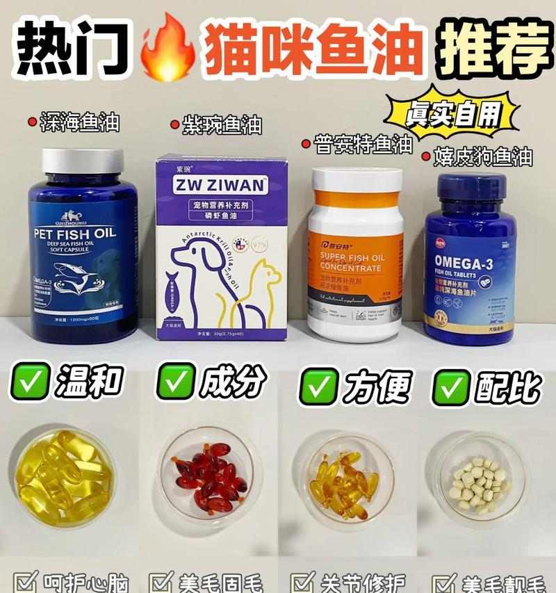 猫咪爆毛问题解决指南：饮食调理与护理方法全攻略