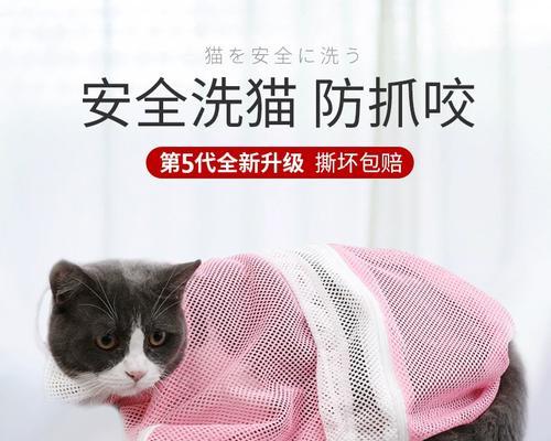 猫咪洗澡全攻略：正确方法与注意事项详解
