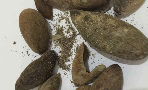 肚子长虫感染症状全解析，警惕寄生虫危害及时防治