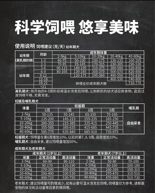 灰色泰迪专用狗粮选择指南，15种优质配方推荐