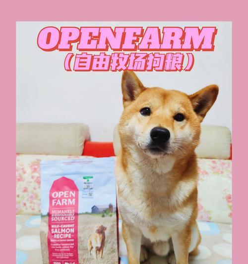 狗不吃狗粮的原因分析及有效解决方案