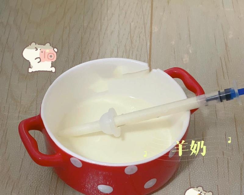 母猫产后喂食指南：科学营养搭配促进母婴健康